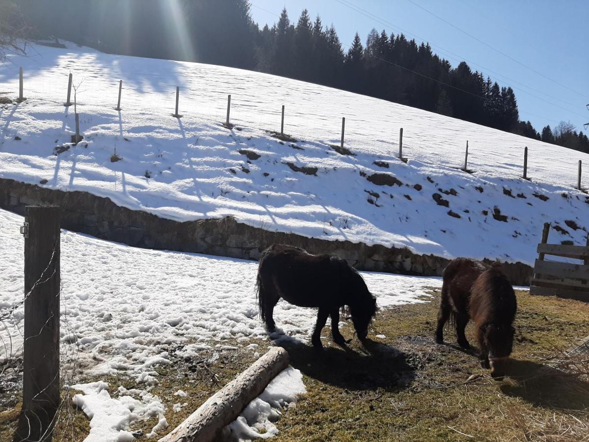 Teglbauernhof, Hütte, Chalet, Mobilheim, Appartement, Ferienwohnung, Pension, Urlaub *