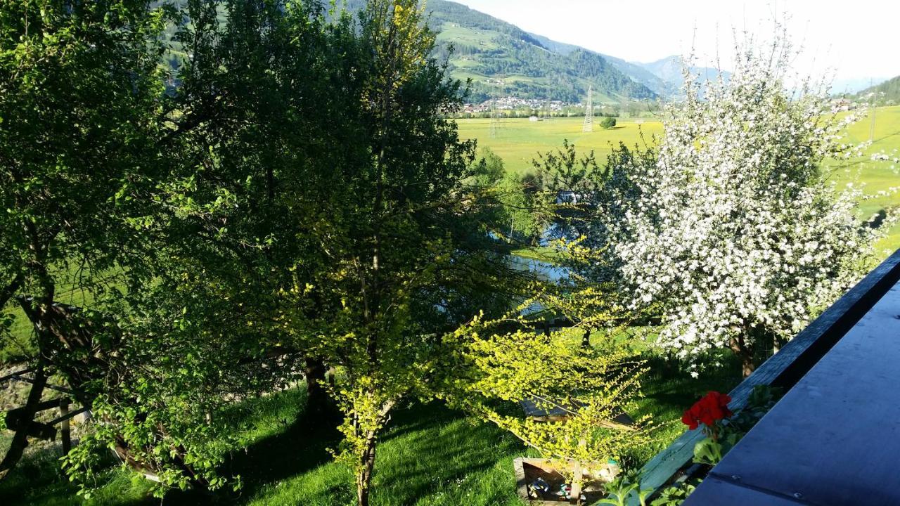 Bauernhof Teglbauernhof, Hütte, Chalet, Mobilheim, Appartement, Ferienwohnung, Pension, Urlaub *