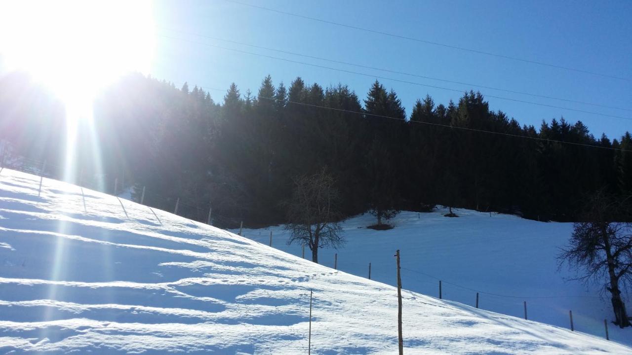 Bauernhof Teglbauernhof, Hütte, Chalet, Mobilheim, Appartement, Ferienwohnung, Pension, Urlaub *